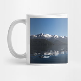 G17_1911 Mug